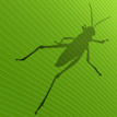 Grasshopperwebsite