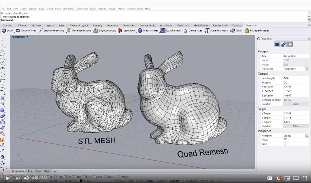 Rhino 7 mesh